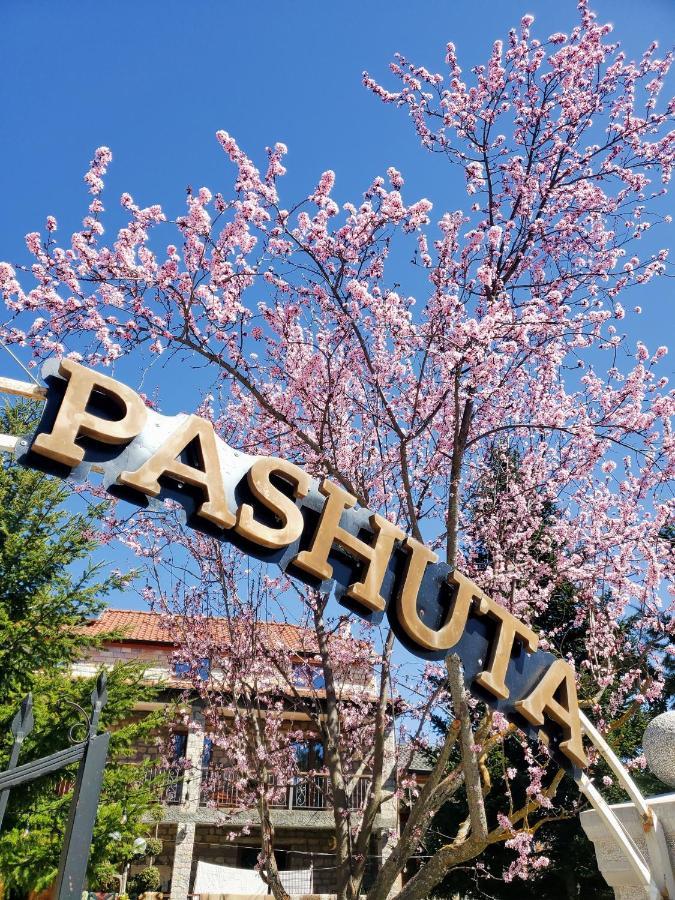 Pashuta Hotel Voskopoje Ngoại thất bức ảnh